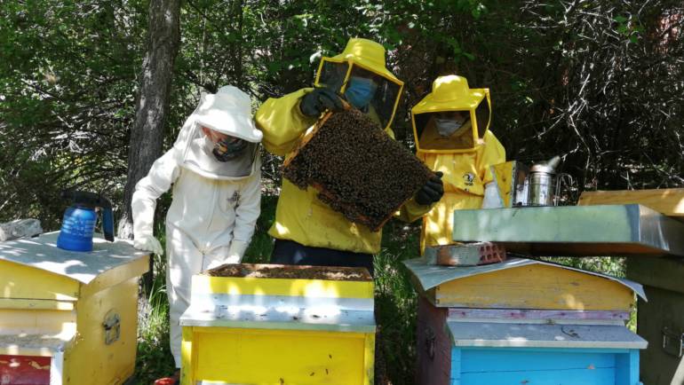 E chi ha detto che l’apicoltura è solo per grandi?